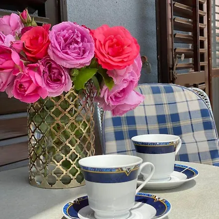 Apartment Mia Zambratija (Istria)