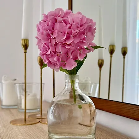 דירה Mia, 50 Sqm, Parking Included